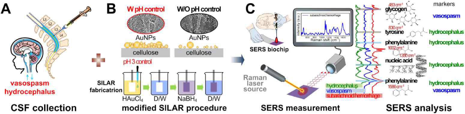 지주막하출혈(subarachnoid hemorrhage)을 겪은 환자의 뇌척수액을 이용하여 예후로 발생할 수 있는 혈관경련수축과 수두증을 예견할 수 있는 pH 조정 처리된 종이 기판과 골드나노파티클을 이용한 SERS 바이오센서 개발