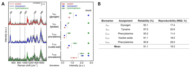 (A) 무표지자 광 바이오 센싱 플랫폼을 이용하여 지주막하출혈 이후의 정상, 혈관경련수축, 수두증 환자의 뇌척수액의 라만 스펙트럼과 해당 바이오마커의 라만 세기 비교, (B) 그에 해당하는 신뢰도와 재현성 비교 결과