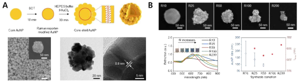 (A) SERS hot-spot (nano gap < 1 nm)을 내포한 core-shell 나노구조체 및 (B) 합성 조건 (R10-200)에 따른 나노구조체 특성 비교