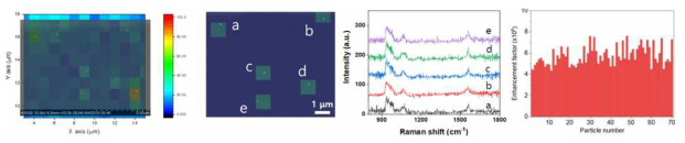 core-shell 나노구조체의 Raman mapping 및 하나의 입자에서 발생하는 균일한 SERS 세기
