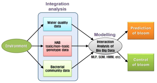 환경/분자/생태 통합분석을 통한 유해조류 예측 및 제어의 연구 흐름도 (HAB: harmful algal bloom)