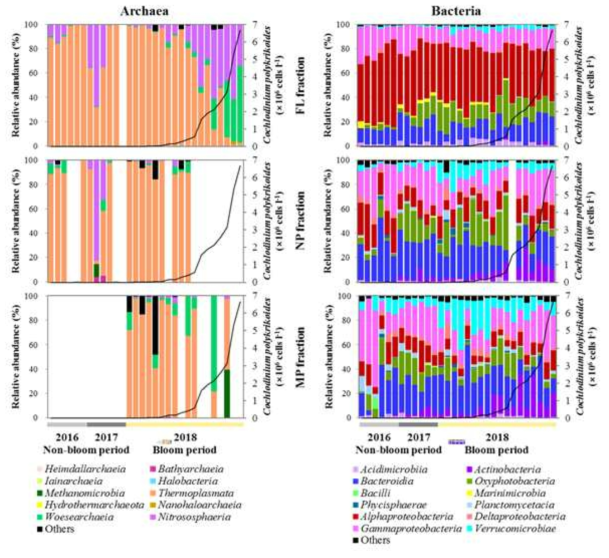 Archaeal bacterial and community compositions in non-bloom (2016-2017) and bloom (2018) periods in coast of South Sea. Several archaeal samples and one bacterial sample were not amplified in PCR, thus some of them not available in this study. The bloom samples were arranged in increasing order of C. polykrikoides cell density. The black lines indicate C. polykrikoides cell density
