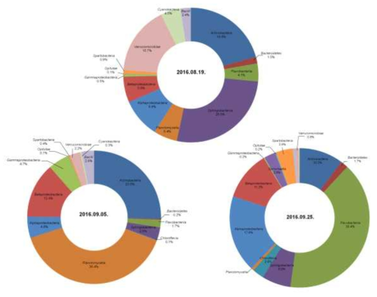 2016년도 물금지역 수계의 남세균/미생물 군집 구조분석(class 수준)