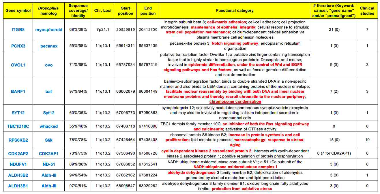 문헌 및 데이터베이스 분석 기반으로 추출된 전암병소 관련 Gain-of-function loci 상 유전자. 구강편평세포암종 세포주를 이용한 유전자 발현량 예비 분석 상에서 유의미한 발현량 증가가 관찰된 유전자 중심(파란색)