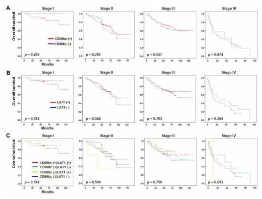 Prognostic significance of CD98 heavy chain (CD98hc) and LAT1 expression in colorectal cancers (CRCs) according to stages. Kaplan–Meier analysis for CD98hc (A), LAT1 (B), and CD98hc/LAT1 (C) based on tumor-node-metastasis (TNM) stages