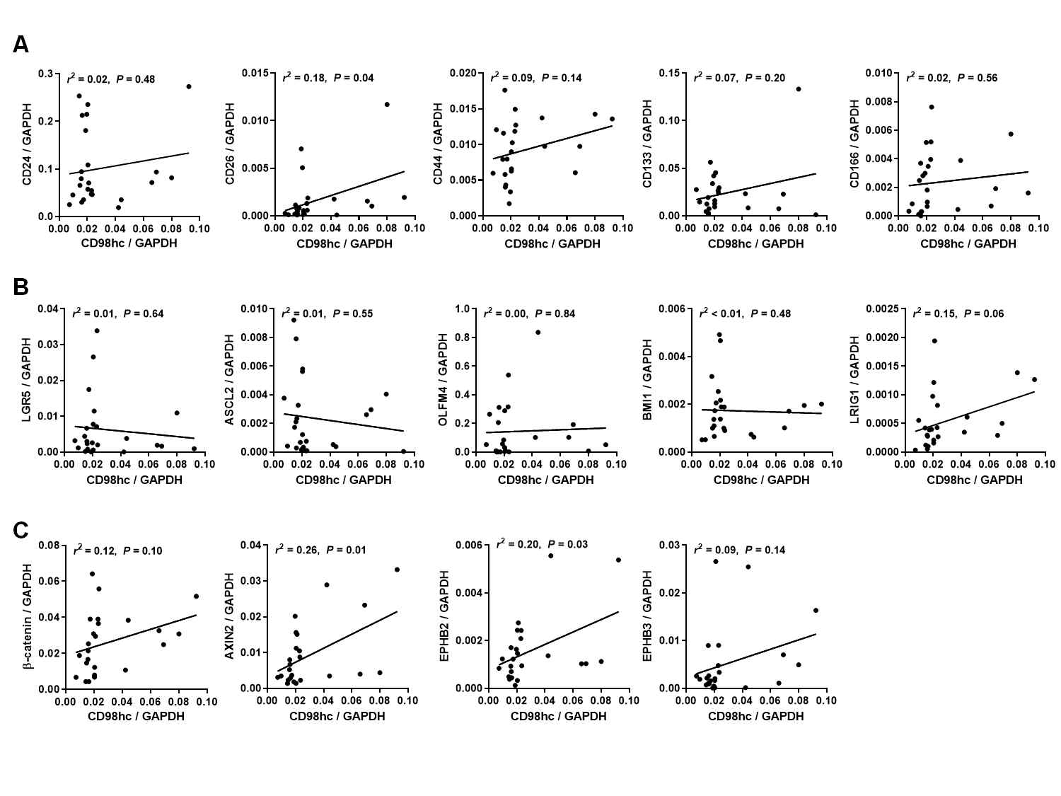 Correlation of CD98 heavy chain (CD98hc) with intestinal and cancer stem cell markers in colorectal cancers (n = 24). (A) CD98hc expression positively correlated with CD26 among candidate cancer stem cell markers. (B) No correlation was observed between CD98hc and intestinal stem cell markers. (C) CD98hc showed positive correlations with AXIN2 and EPHB2