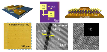 단층 MoS2에서 구현된 Au/MoS2/Au memristor 소자 (Nano Lett. 18, 434-441 (2018))