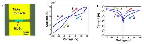 표면의 플라즈마 처리를 한 Au/MoS2/Au memristor 소자 (ACS Nano 12, 9, 9240-9252 (2018))