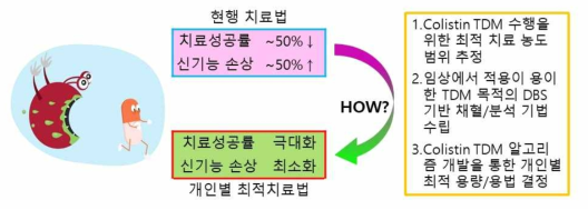 연구의 개요