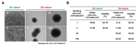 (A) 인간 iPSCs를 각각 2차원 부착 배양 및 3차원 진탕 배양을 5일간 수행한 후의 세포 이미지. (*숫자는 초기 접종 농도를 나타냄) 2차원 배양의 경우 dish 바닥에 붙어 colonies를 이루고 있는 반면, 3차원 배양의 경우 spheriod를 형성하였음. (B) 배양 5일 후 각 배양법 및 초기 접종 농도에 따른 생존 세포 농도 및 생존율을 보여주는 표