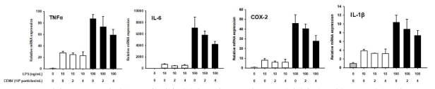 인간 iPSC-CENV의 항염증 효과. 인간 대식세포주인 THP-1에 LPS를 처리하여 염증 반응을 유도하였을 때, iPSC-CNEV 처리에 의해 염증 관련 사이토카인 mRNA들의 발현이 유의미하게 감소하였음을 보여주는 qPCR 분석 결과