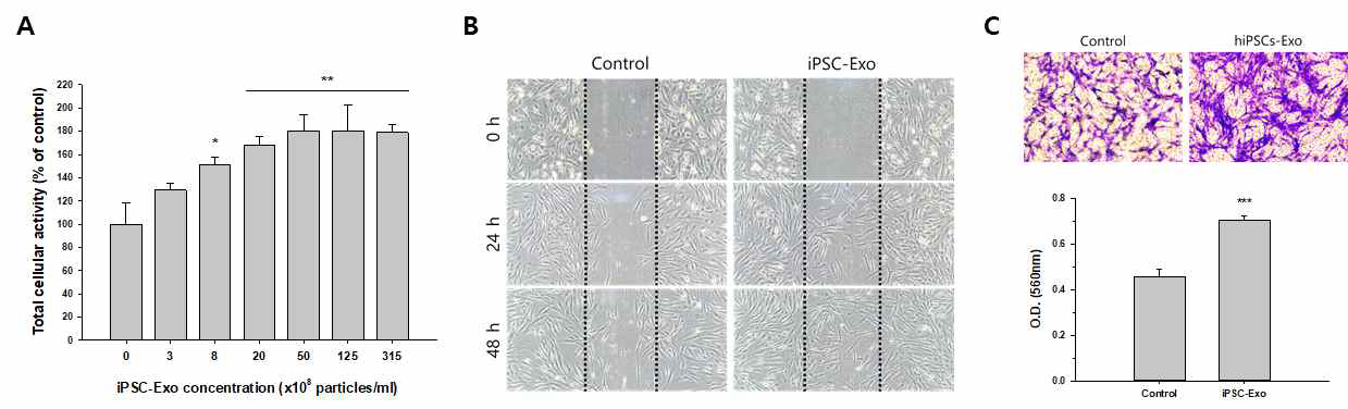 iPSC-Exo 처리에 의한 HDFs의 증식과 이동 촉진. (A) HDFs에 대한 iPSC-Exo의 증식 촉진 효과를 보여주는 MTT assay 결과. (B) Scratch wound assay 결과. iPSC-Exo를 처리한 경우 wound 지역(점선 안쪽)으로 이동해 온 HDFs의 수가 증가함. (C) Trans-well migration assay 결과. iPSC-Exo 처리에 의해 다공성 막을 가로질러 이동한 HDFs의 수가 증가하였음을 crystal violet 염색으로 관찰하였고 이를 정량적으로 분석하였음