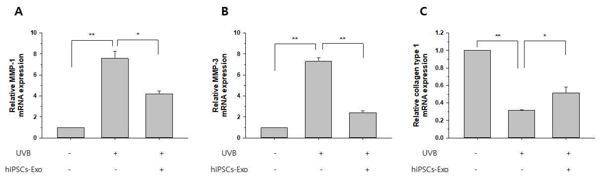 UV-B 조사에 의해 변형된 ECM 관련 유전자 발현에 iPSC-Exo 처리가 미치는 영향. HDFs에 24시간 동안 20×108 particles/mL 농도의 iPSC-Exo를 처리한 후 UV-B를 조사하였음. 48시간 후 (A) MMP-1, (B) MMP-3, (C) collagen type I 유전자의 발현 정도를 qPCR법으로 확인함