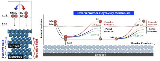 ER 기반 Volmer-Heyrovsky 메커니즘을 따르는 IRR 반응 모식도