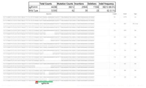 NGS를 이용한 INDEL 빈도의 분석