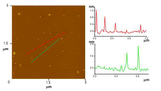 1 nm 이하 두께 입자들을 보여주는 AFM 이미지와 height profile 자료