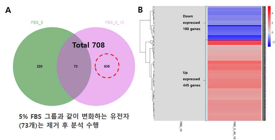 (A) 10% FBS 대비 5% SACCS (1X) 적응 세포주의 차등 발현 유전자와 10% FBS 대비 5% FBS 적응세포주의 차등 발현 유전자. (B) 5% FBS 적응세포주에 의한 차등발현 유전자를 제외한 10% FBS 대비 5% SACCS (1X) 적응 세포주의 차등 발현 유전자에 대한 heatmap