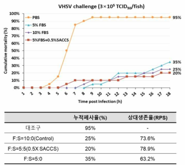 SACCS 적응세포주에서 생산한 VHSV 백신 효과 결과