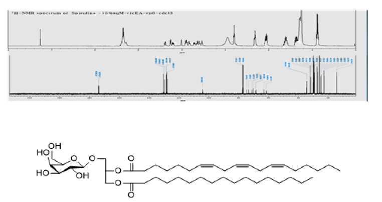 화합물 7의 1H, 13C-NMR 데이터 및 구조