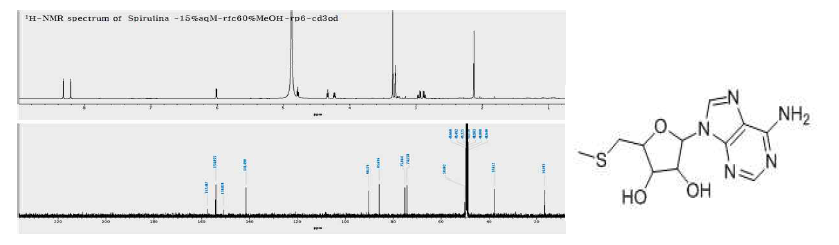 화합물 13의 구조 및 1H, 13C-NMR 데이터