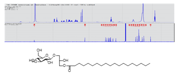 화합물 24의 1H, 13C-NMR 데이터 및 구조