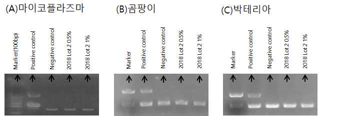 2018 SACCS PCR 오염도 검사 (A)마이코플라즈마 오염도 검사 (B)곰팡이 오염도 검사 (C)박테리아 오염도 검사