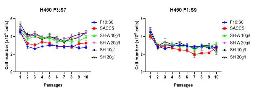 SACCS+Hydrolysate 활용 배양된 H460의 세포 증식율