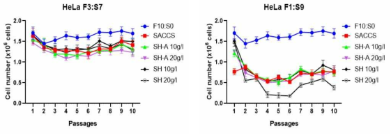 SACCS+Hydrolysate 활용 배양된 H460의 세포 증식율