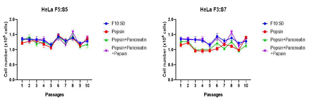 효소별 Hydrolysate 활용 배양된 HeLa의 세포 증식율