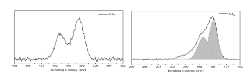 p(VBC-co-DMAEMA)의 XPS N1s, Cl2p 스캔 스펙트럼