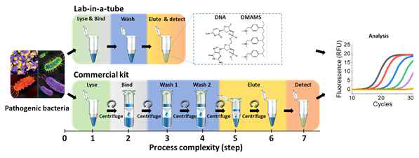 pDMAMS tube를 활용한 Lab-in-a-tube 플랫폼의 진단 과정 간소화
