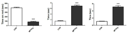 Rotarod, Akinesia, Catalepsy test로 측정한 운동기능 저하 행동 결과