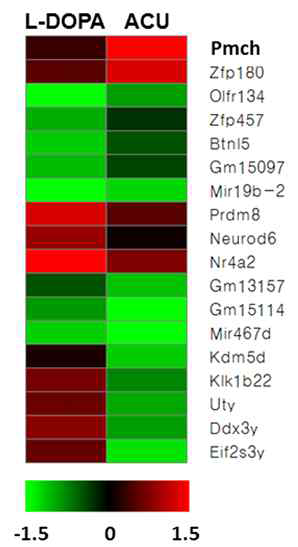 도파민과잉상황 모델에서 RNA expression profiling 분석 (시상 하부)