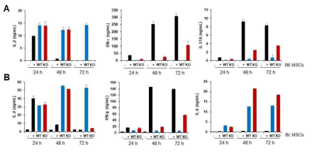 AhR-/- MSC가 T 세포의 사이토카인 생성에 미치는 영향 확인. (A) C57BL/6 MSC, (B) Balb/c MSC
