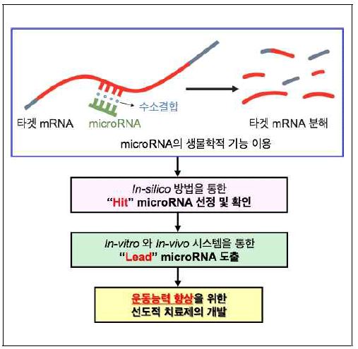 연구의 목표