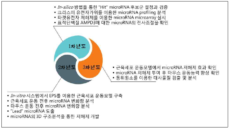 연차별 연구내용