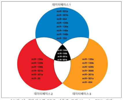 생물정보학 DB를 이용한 표적 hit microRNA 선정