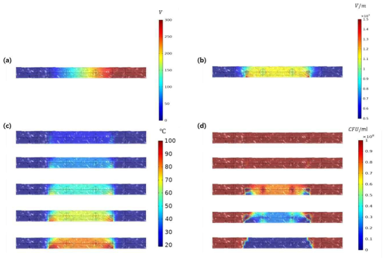 연속식 오믹히팅 시스템의 가열 단계별 가열 패턴 및 살균 효과 시뮬레이션 결과: 전위(a), 전기장(b), 가열 단계별 온도(c), 가열 단계별 병원균 농도(d)