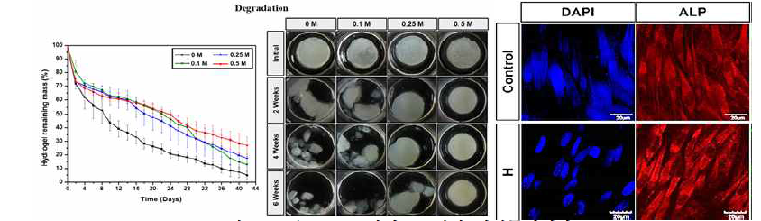 CS/TOCNF 하이드로젤의 생체특성평가