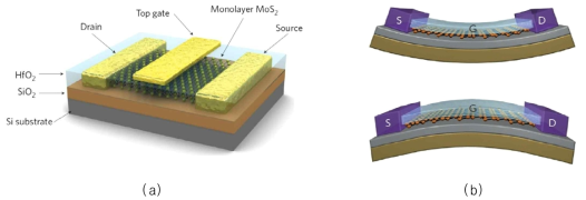 (a) Schematic illustration of the Mos2-based FET (b) Bending deformation induced by an out of plane electric field in FET