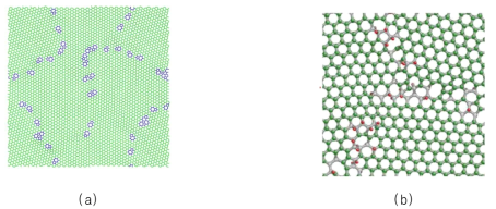 (a) Numerically generated nanocrystalline graphene (b) Atomic configurations of polycrstalline grpahene with partially hydrogenated carbon atoms