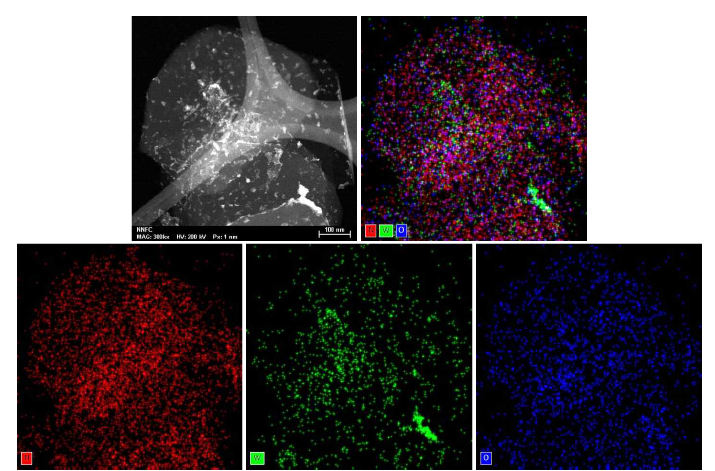 W-BNNS TEM EDS 결과