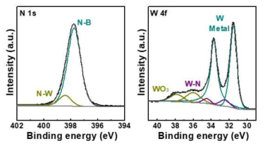 W-BNNS 하이브리드 나노소재 XPS 결과