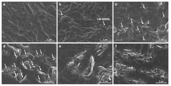 f-W-BNNS 강화 PE 복합재료 파단면 SEM 이미지 a) PE, b) 1 wt%, c) 3 wt%, d) 5 wt%, e) 7 wt%, f) 10 wt%.