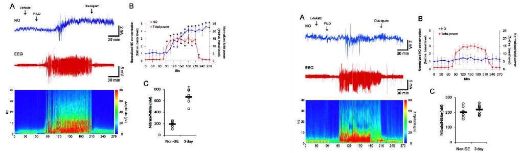 The role of seizure activity in NO generation in response to pilocarpine using real-time simultaneous monitoring. (A) Representative NO concentration (top), EEG trace (middle) and frequency-power spectral temporal maps (bottom). (B) Quantification of NO level and total EEG power in response to PILO (mean ± S.E.M.; *p < 0.05 vs. basal level; n = 7, respectively). (C) Quantitative values (mean ± S.E.M) of nitrate/nitrite levels in the hippocampus 3 days after SE. Open circles indicate each individual value. Horizontal bars indicate mean value. Error bars indicate SEM (*p < 0.05 vs. non-SE animals; n = 7, respectively)