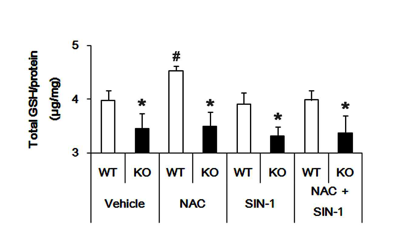 GSH assay in the hippocampus. P2X7R deletion decreases basal GSH level. NAC increases GSH level in WT animals, but not P2X7R KO mice. Although SIN-1 does not affect GSH level in both animals, it reduces GSH concentration to basal level in NAC-treated WT animals, but not P2X7R KO mice