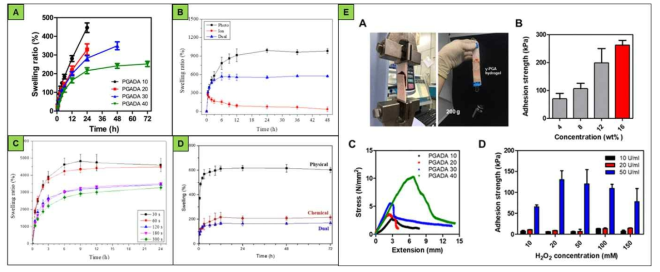 (A) γ-PGA/DA, (B) Alg/Tyr, (C) HA/Tyr, (D) MC/Tyr의 팽윤도 및 (E) γ-PGA/DA의 접착강도