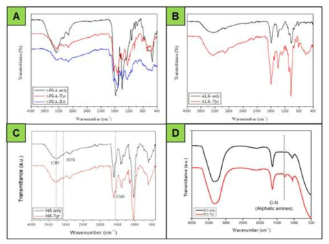 (A) γ-PGA/Tyr 및 γ-PGA/DA, (B) Alg/Tyr, (C) HA/Tyr, (D) MC/Tyr 유도체의 ATR-IR 스펙트럼