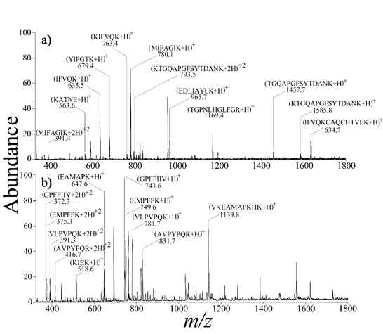 (a) DMF/나노-DESI를 통해 얻은 (a) cytochrome c와 (b) β-casein의 질량분석 스펙트럼