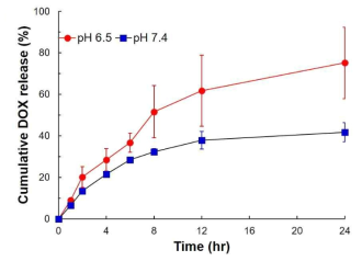 각 pH별 DOX 방출량 (pH 7.4 and 6.5)
